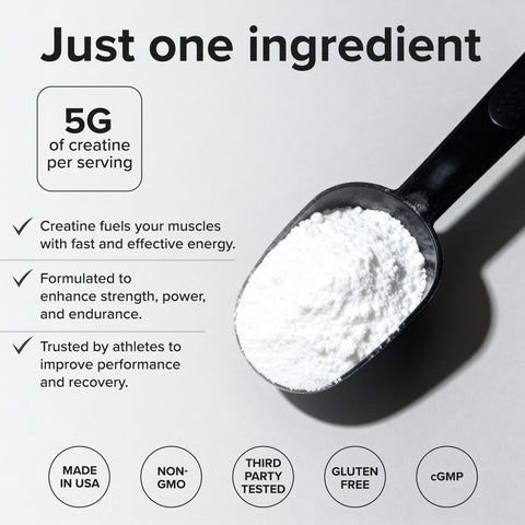 Puregen Labs Creatine  500g